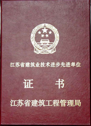 省建筑业技术进步证书